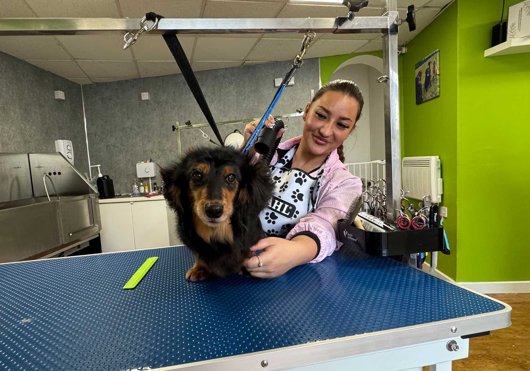 dog-grooming-undy-magor-village dog-grooming-undy-magor-village